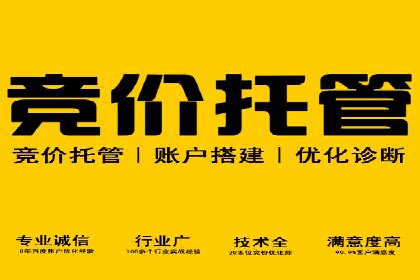 某电商平台的SEM推广实践与效果展示